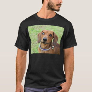 Camiseta Dachshund