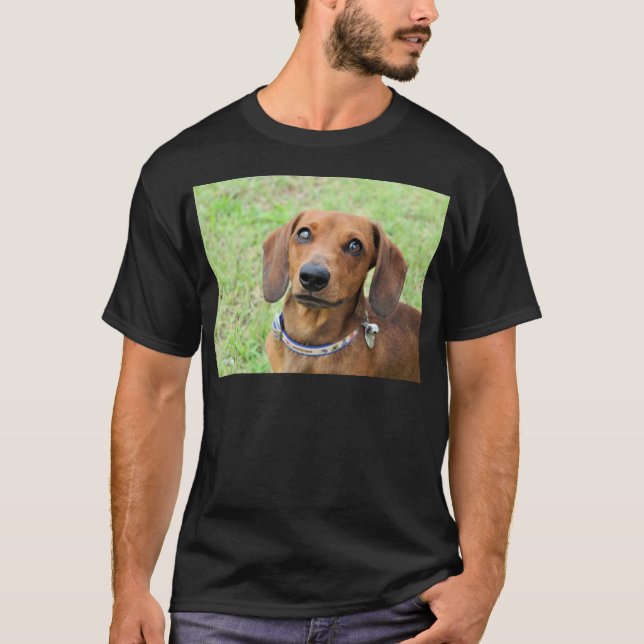 Camiseta Dachshund (Frente)