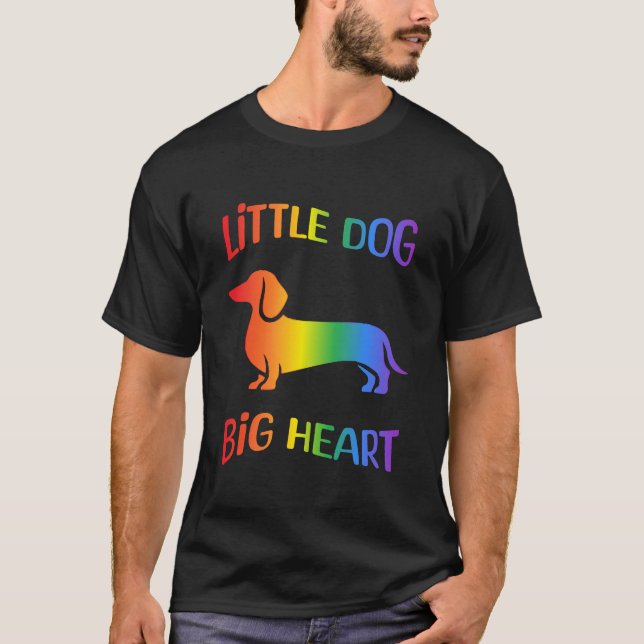 Camiseta Dachshund Arco-íris Cachorrinho Coração Grande (Frente)