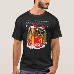 Camiseta Dachshund Bonito Em Box Luzes De Natal Doxie