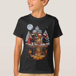 Camiseta Dachshund Mirror Ornament Decoration Natal Tre