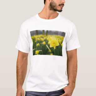 Camiseta Daffodilos (RF)