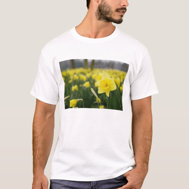 Camiseta Daffodilos (RF) (Frente)