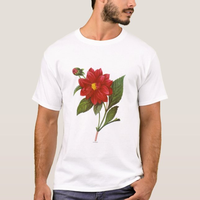 Camiseta Dália (dália Pinnata) (Frente)