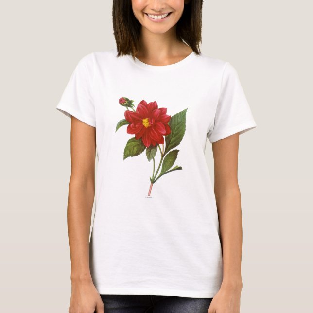 Camiseta Dália (dália Pinnata) (Frente)