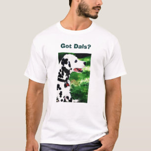 Camiseta Dals obtido?