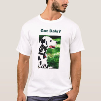Camiseta Dals obtido?