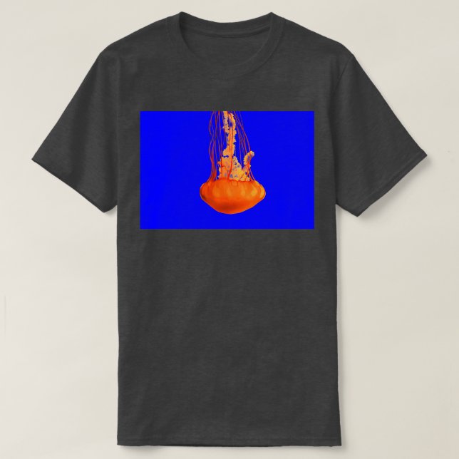 Camiseta Dança Graceful (Frente do Design)