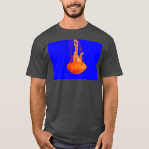 Camiseta Dança Graceful
