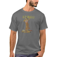 Dançarino de Havaí Hula