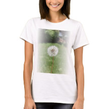 Camiseta Dandelion