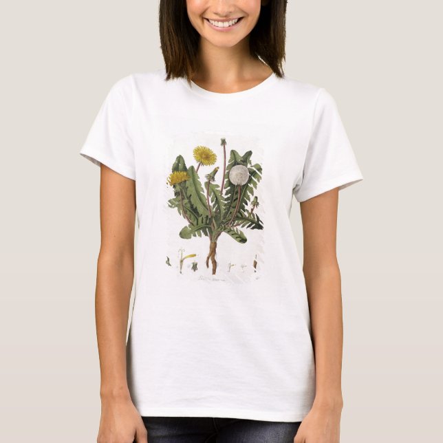 Camiseta Dandelion (colour engraving) (Frente)