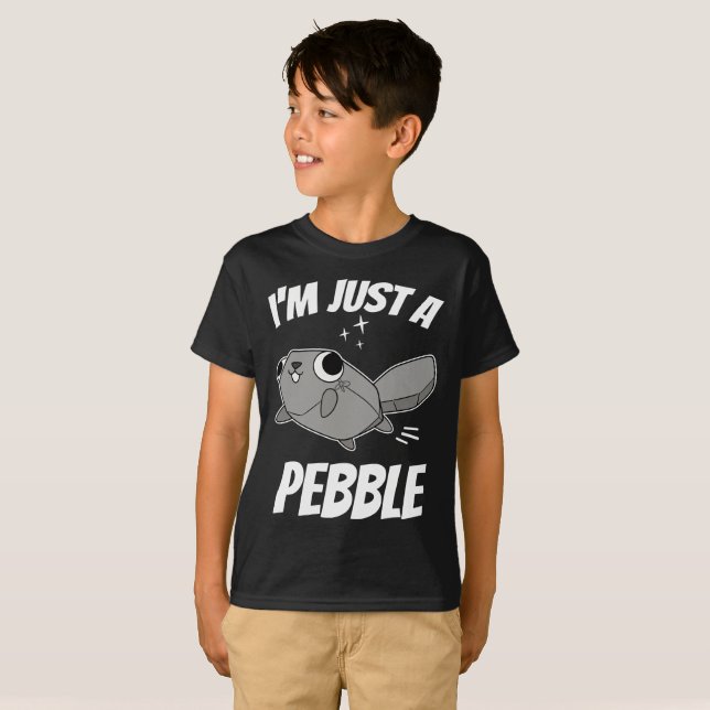 Camiseta Dandy's World Pebble | banda do mundo dos dandys e (Frente Completa)