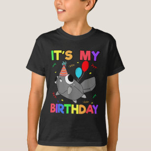Camiseta Dandys World Pebble Birthday Decoração Para Crianç