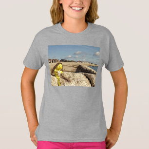 Camiseta Danni a Sereia