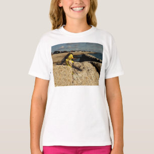 Camiseta Danni a Sereia