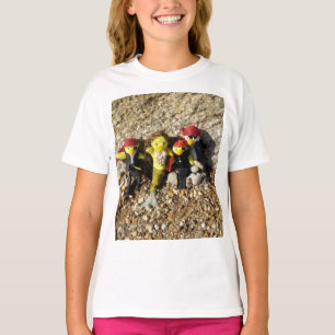 Camiseta Danni a Sereia