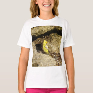 Camiseta Danni a Sereia