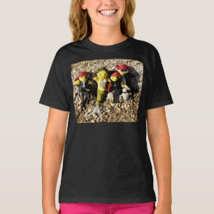 Camiseta Danni a Sereia com Piratas