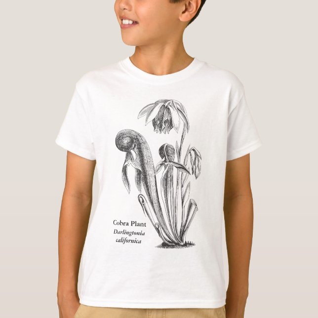 Camiseta Darlingtonia californica, Planta Carnívora (Frente)