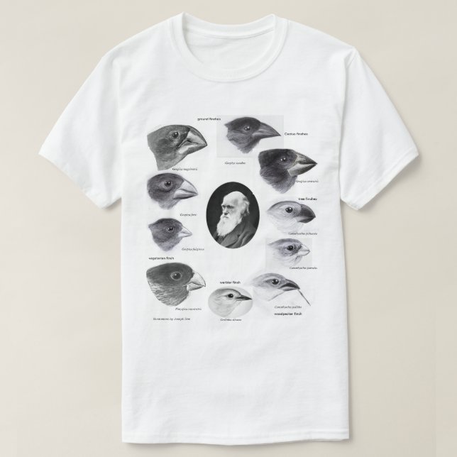 Camiseta Darwin's finches (Frente do Design)
