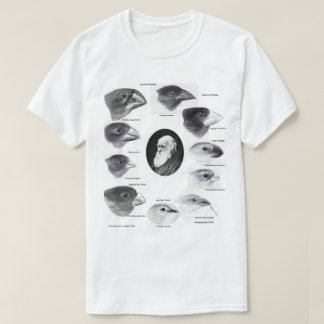 Camiseta Darwin's finches