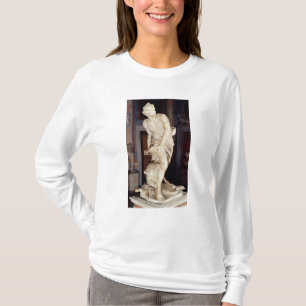 Camiseta David, 1623-24