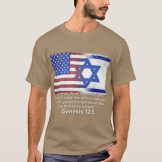 Camiseta de apoio à família América Israel