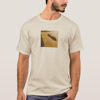 camiseta de baderna