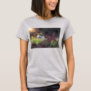 Camiseta de banho solar, T-Shirt