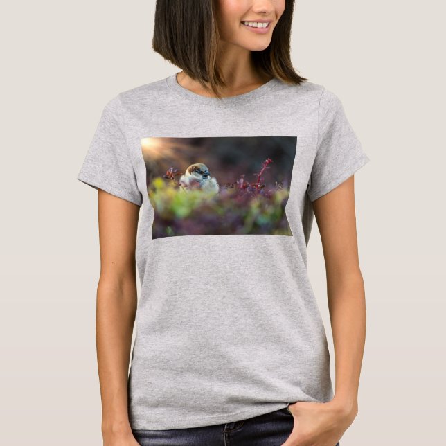 Camiseta de banho solar, T-Shirt (Frente)