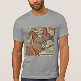 Camiseta de "Boomer" Red Heeler de Ultra Cotton.