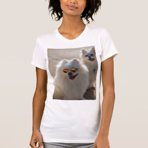 Camiseta de Foto de Gatos Fofos e Divertidos, Aman