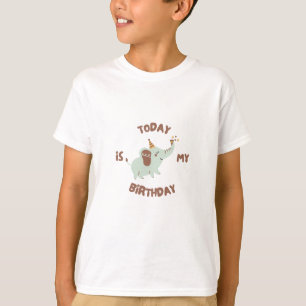 Camiseta de Impressão de aniversário