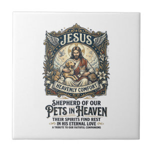 Camiseta de Lembrança do Memorial de Jesus Pet Cri