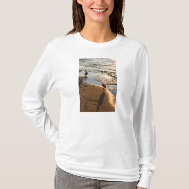 Camiseta de Manga Longa Passeio ao Pôr do Sol Com  (Frente)