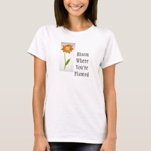 camiseta de mangas curtas para senhoras