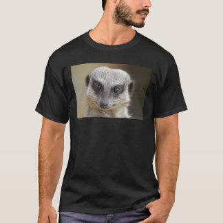 Camiseta De Meerkat fim acima