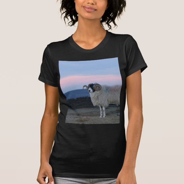 Camiseta de Mulheres Negras Ovelhas (Frente)