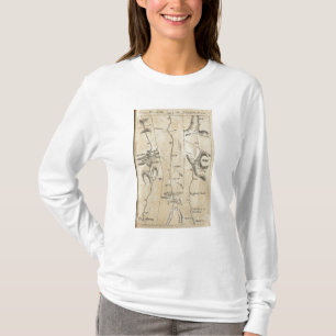 Camiseta De New York a Kingston 43