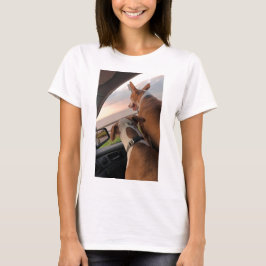 camiseta de passeio ou de morte