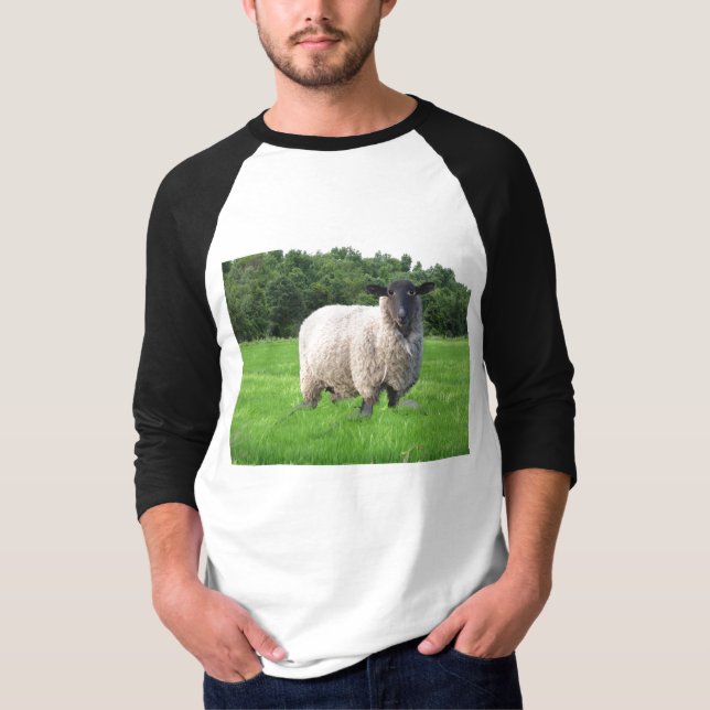 Camiseta De Raglan básico da Capa de Sheal 3/4 (Frente)