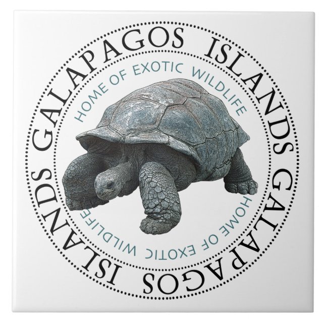 Camiseta de Tartaruga das Ilhas Galápagos (Frente)