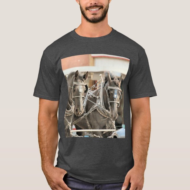 Camiseta de trabalho em equipe (Frente)