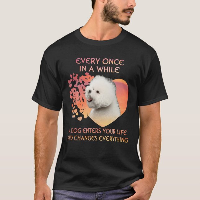 Camiseta De Vez Em Quando Um Bichon Frise Entra Em Você Li (Frente)