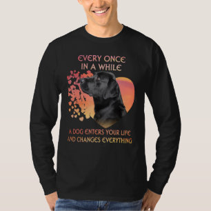 Camiseta De Vez Em Quando Um Labrador Negro Entra Em Você