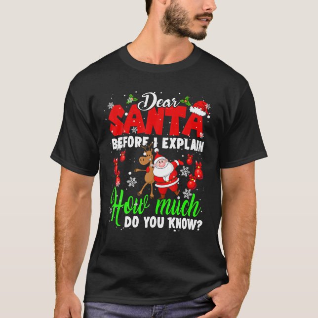 Camiseta Dear Santa Before I Explain How Much You Know Xmas (Frente)