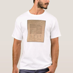 Camiseta Declaração de independência