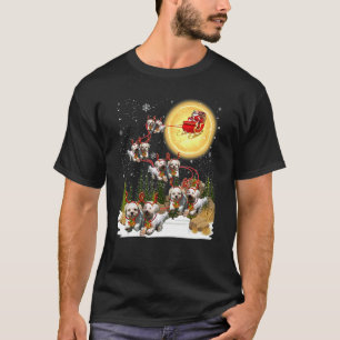 Camiseta Decoração de Natal de Bolonha - Sleigh - Papai Noe