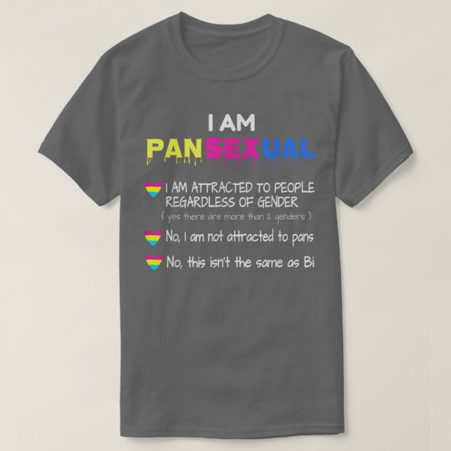 Camiseta Definição Panseual Orgulho Engraçado LGBT Tee  (Frente do Design)